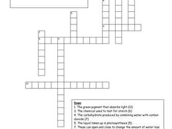 Photosynthesis Crossword