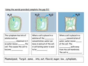 Osmosis and plant cells starter