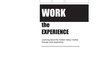 Work Experience