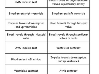 Card Sort of the Cardiac Cycle