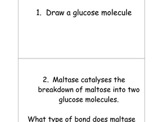 Biological Molecules Circuit Training