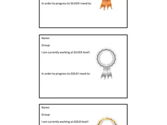 Gold, Silver, Bronze assessment stickers