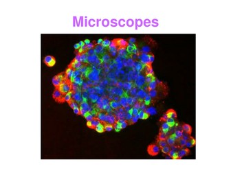 Microscopes Power Point