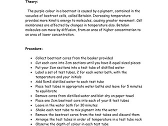 Practical / Experiment Method Sheet - Beetroot