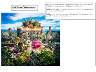 Fruit and Vegetable Cover lesson