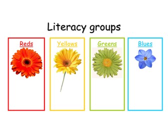 Literacy groups display