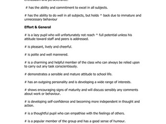 Form Tutor Report Statements