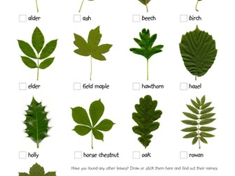 Leaf Hunt Checklist