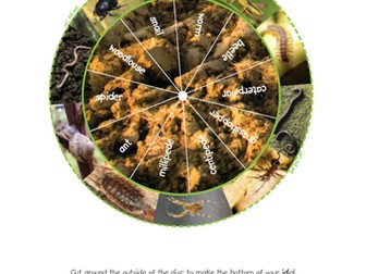 Minibeasts - Minibeasts on the Ground IDial