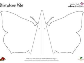 Make a butterfly kite