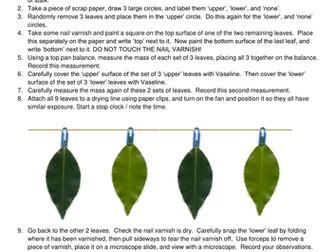 Transpiration experiment