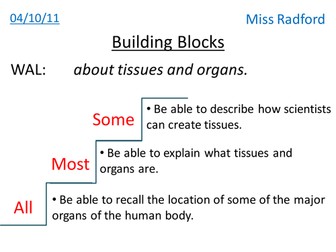 Cells, tissues & organs - Year 7