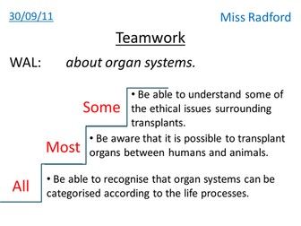 Organ systems - Year 7