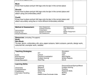 Lesson Plan Pro Forma