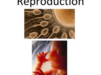 7B reproduction unit for SEN