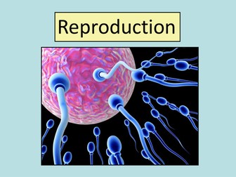 Reproduction powerpoint