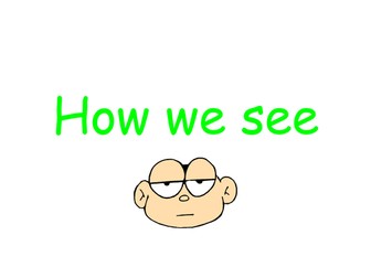 How We See