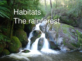 Habitats  The rainforest music