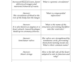 F211 Transport in Animals Revision Loop Game