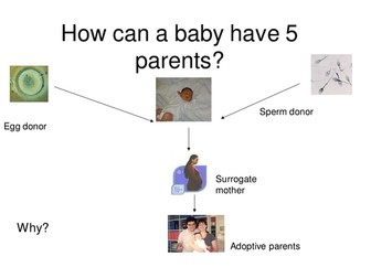 Christian View on Fertility Treatment