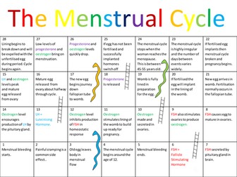 The Menstrual Cycle Game