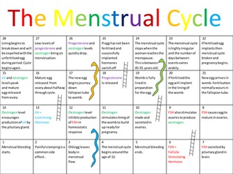 The Menstrual Cycle Game