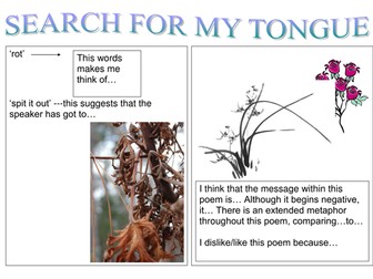 Search for my Tongue: tasks