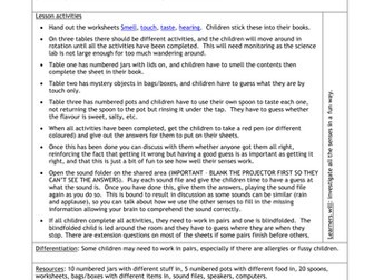 Exploring the Senses