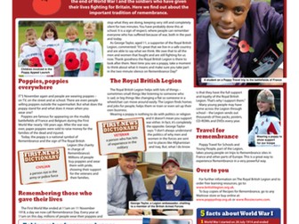 First News Special Report: Remembrance Day