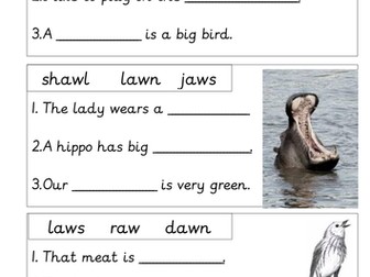 Phonics Fill in Missing AW words in the sentence