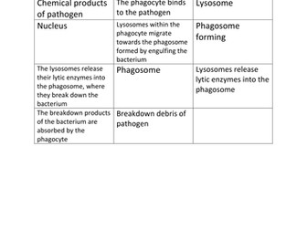 Phagocytosis cut and stick