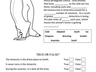 Antarctic Habitats and Animals