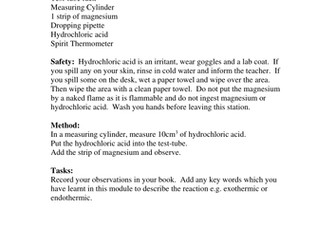 Chemical reactions practicals