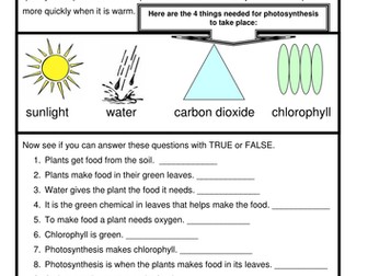 Photosynthesis HOW DO PLANTS MAKE FOOD