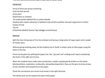 Carbon Cycle active learning