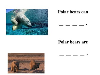 Polar Bear Non-fiction writing frame book