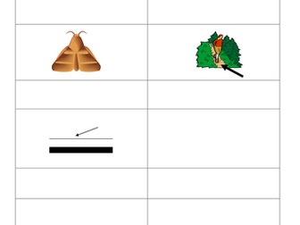 Phase 3 Letters and Sounds ch sh th sheets