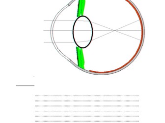 Long and Short Sight