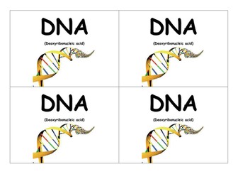 DNA, Chromosomes, Genes and Proteins starter activ