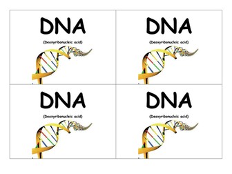 DNA, Chromosomes, Genes and Proteins starter activ