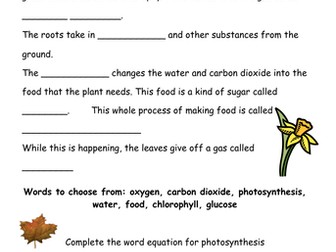 Photosynthesis worksheet