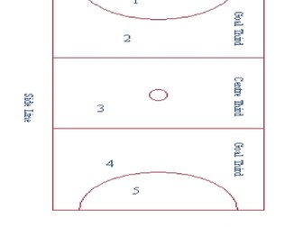 Netball court-where players can go