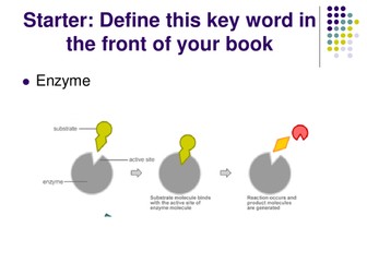 Enzymes