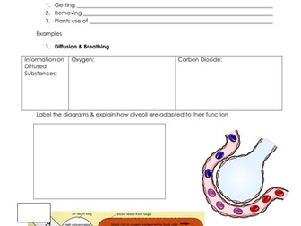 Diffusion & Biological Examples