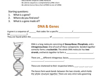DNA & Base Pairing