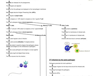 Immunology summary