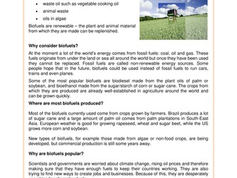 The Great biofuels debate