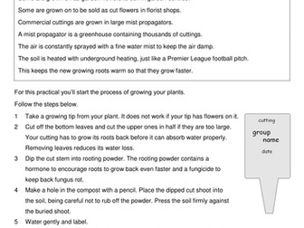 Taking a cutting