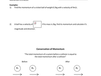 Introduction to Momentum