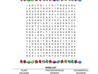 Photosynthesis wordsearch